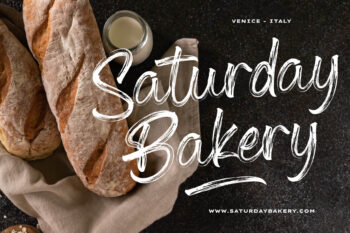 Dry Brush Handwritten Script Font