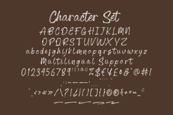 Dry Brush Handwritten Script Font