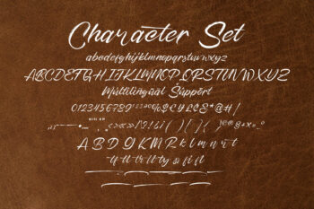 Dry Brush Handwritten Script Font
