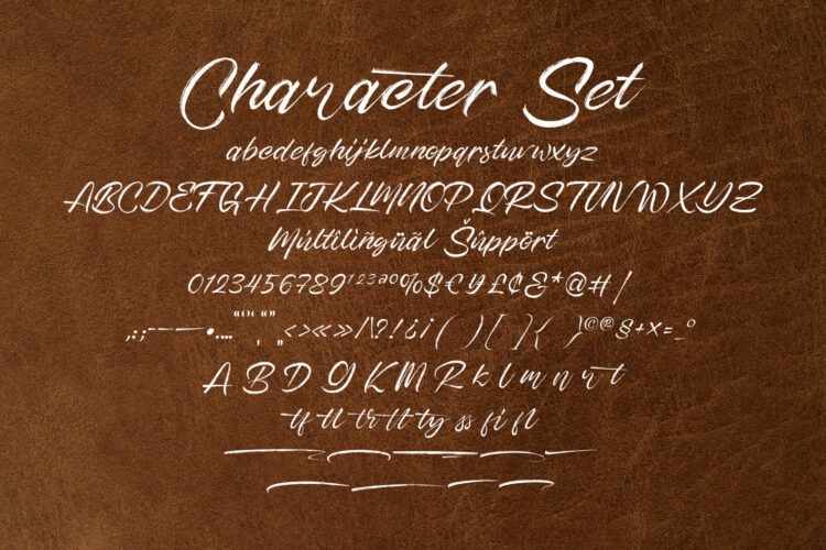 Dry Brush Handwritten Script Font