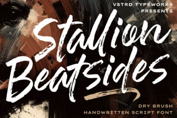dry brush handwriten script font