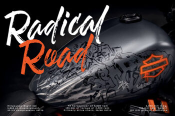 dry brush handwriten script font