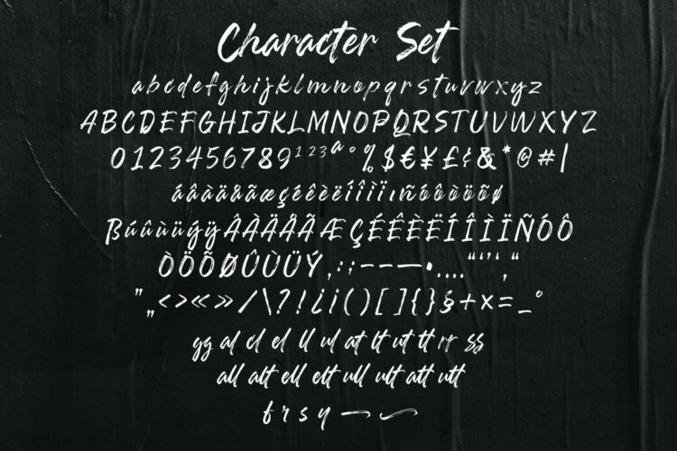 dry brush handwriten script font