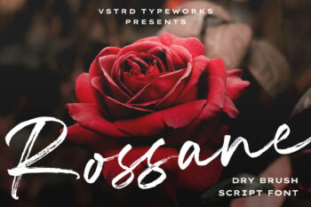 Rossane - Dry Brush Script Font