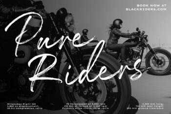 dry brush script font