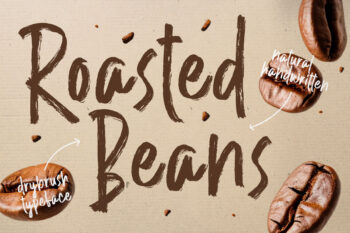 Playful Brush Handwritten Font