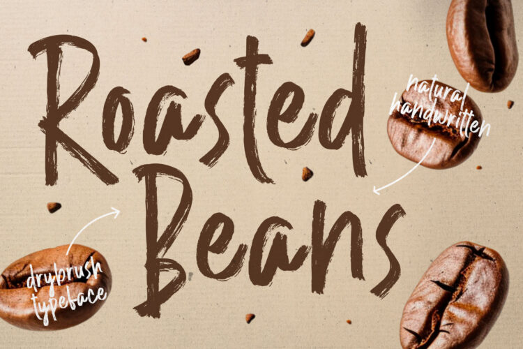 Playful Brush Handwritten Font