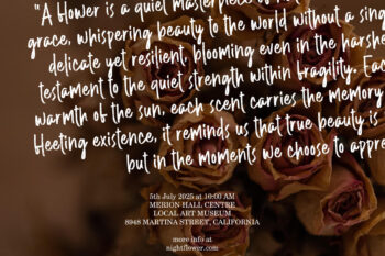 Playful Brush Handwritten Font