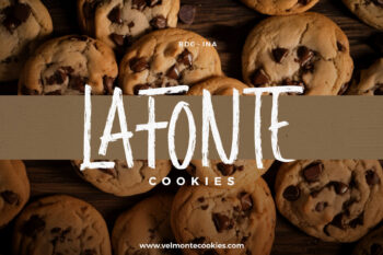 Playful Brush Handwritten Font