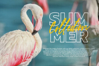 Elegant & Natural Handwritten Typeface