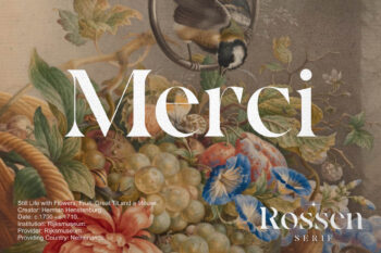 Sophisticated Serif Typeface